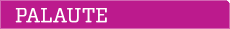 Palaute